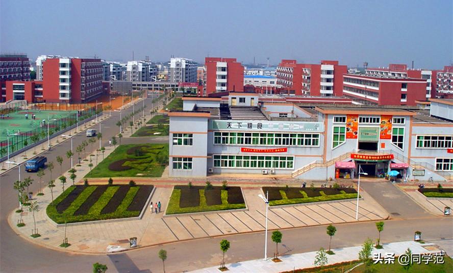 浙江最好的专科大学（这5所大专稳居浙江高职第一梯队）