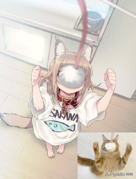 动漫问题二次元猫娘是什么意思，猫娘二次元卖萌（40原老师的猫咪“拟人化”又出新作了）