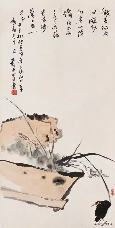 草的简笔画怎么画，猪笼草的简笔画怎么画（兰草的画法）