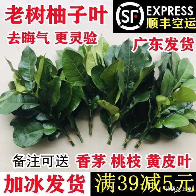柚子叶去晦气的方法，用柚子叶辟邪讲究什么（如何成为广东人的转运密码）