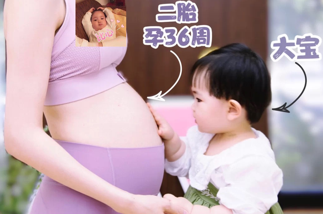 胎动怎么数最正确，怎么数胎动才是正确的（正确数胎动攻略拍了拍准妈妈）