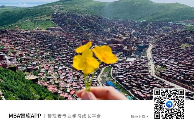 蚂蚁效应是什么意思，为什么说太“努力”的人