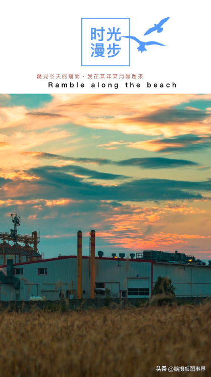 如何在图片上编辑文字，如何编辑照片上的文字（如何快速给图片添加上漂亮的文字内容）