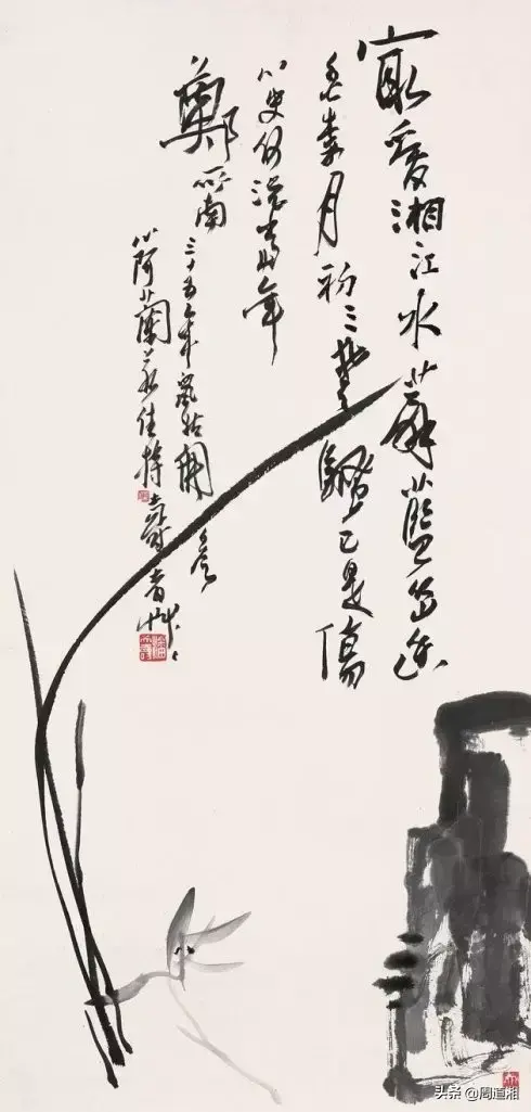 草的简笔画怎么画，猪笼草的简笔画怎么画（兰草的画法）