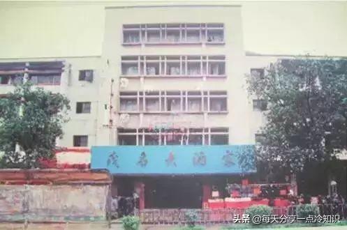 如何区分农眼树和荔枝树，龙眼树和荔枝树的区别（10个茂名冷知识）