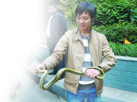 遇到死蛇有什么预兆，梦见死蛇是什么预兆（更别滥捕滥食野生动物）