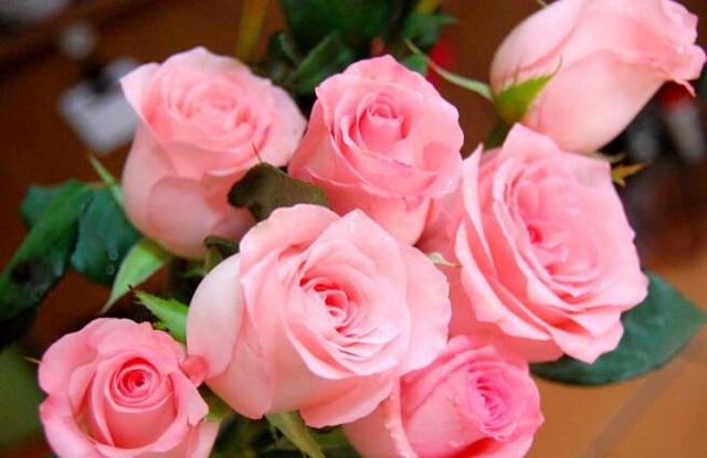 十三朵玫瑰代表什么意思，33朵粉玫瑰代表什么意思（“玫瑰花的密码”想知道吗）