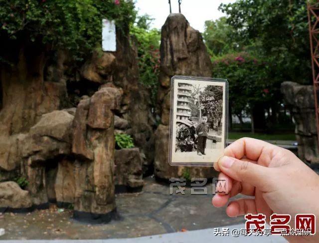 如何区分农眼树和荔枝树，龙眼树和荔枝树的区别（10个茂名冷知识）