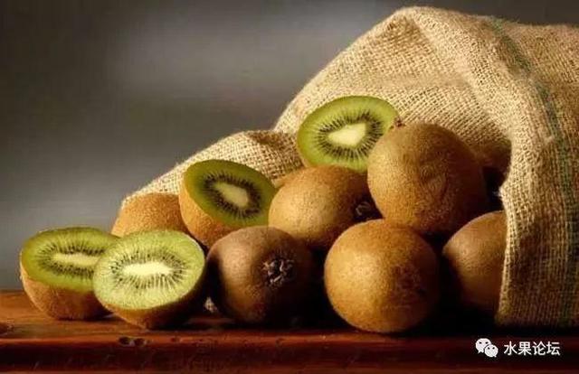 榴莲成熟的季节是几月，榴莲季节是哪几个月（夏季到冬季的水果成熟表来了）