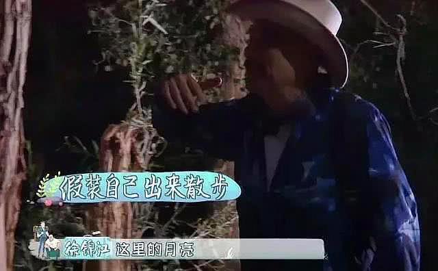 徐锦江最后悔的事情，徐锦江以为真人秀是拍电影