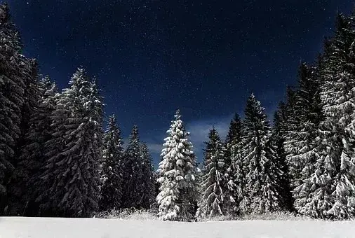 在古代可以用什么词代替雪，在古代对雪的称谓还有哪些（看看古人对雪的24种雅称）