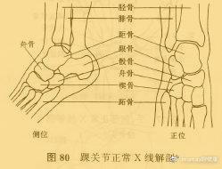 跳绳第二天小腿疼还要继续吗，跳绳第二天小腿疼还能继续吗（你需要关注和调整这些事情...）