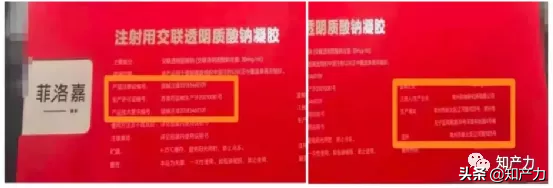 菲洛嘉是什么，选择困难症还没好
