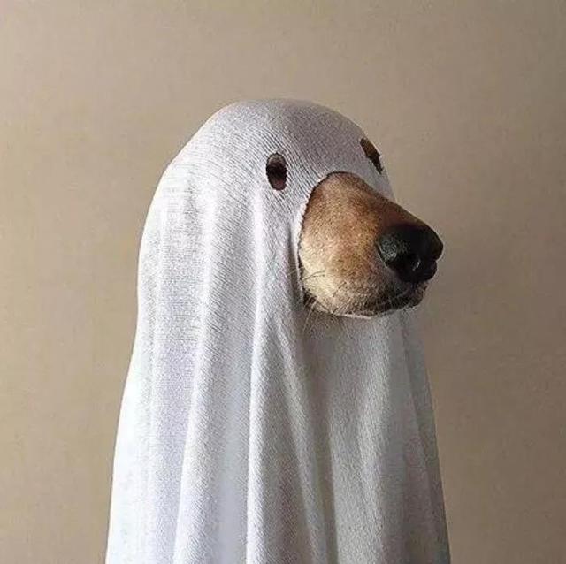 搞怪女头，微信头像，搞怪女头（没有什么困难是战胜不了我的）