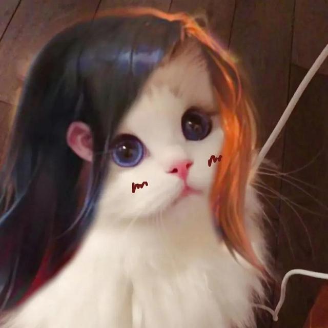 超火五黑头像,好看的五黑头像(王者荣耀猫咪头像三丨开黑五黑头像图片