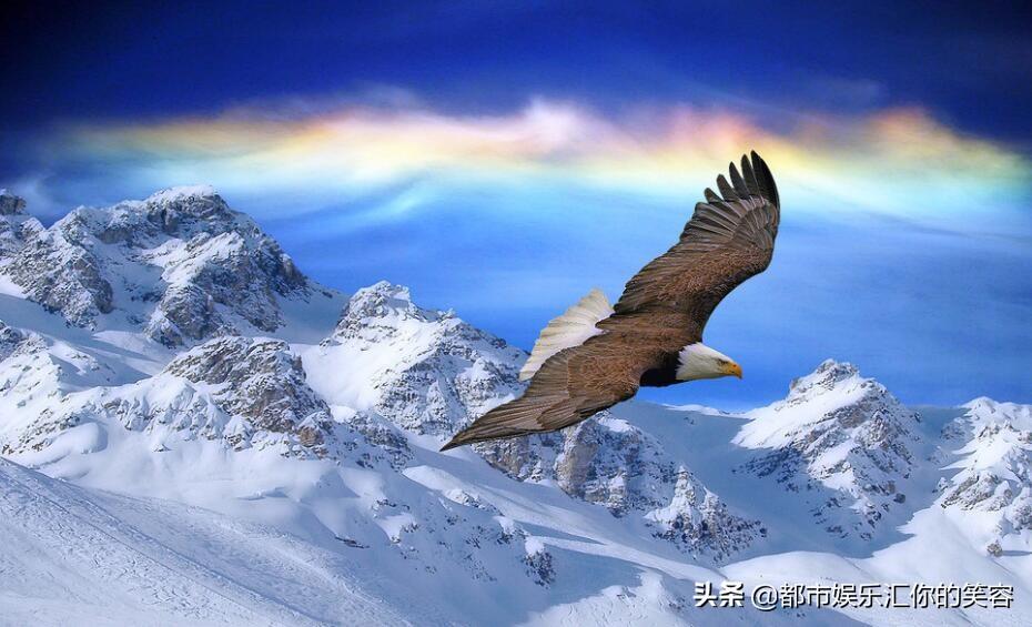 和摩羯缘分最深的星座，跟摩羯最有缘的星座（这3星座才是摩羯座的正缘）