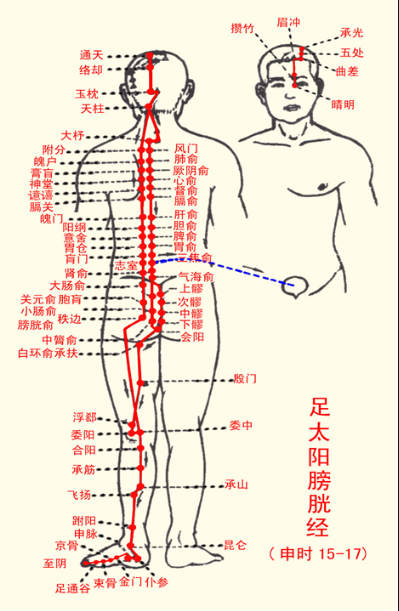 十二经络走向记忆法，十二经络走向记忆法2（12首穴位歌诀教你瞬间记住经络走向）