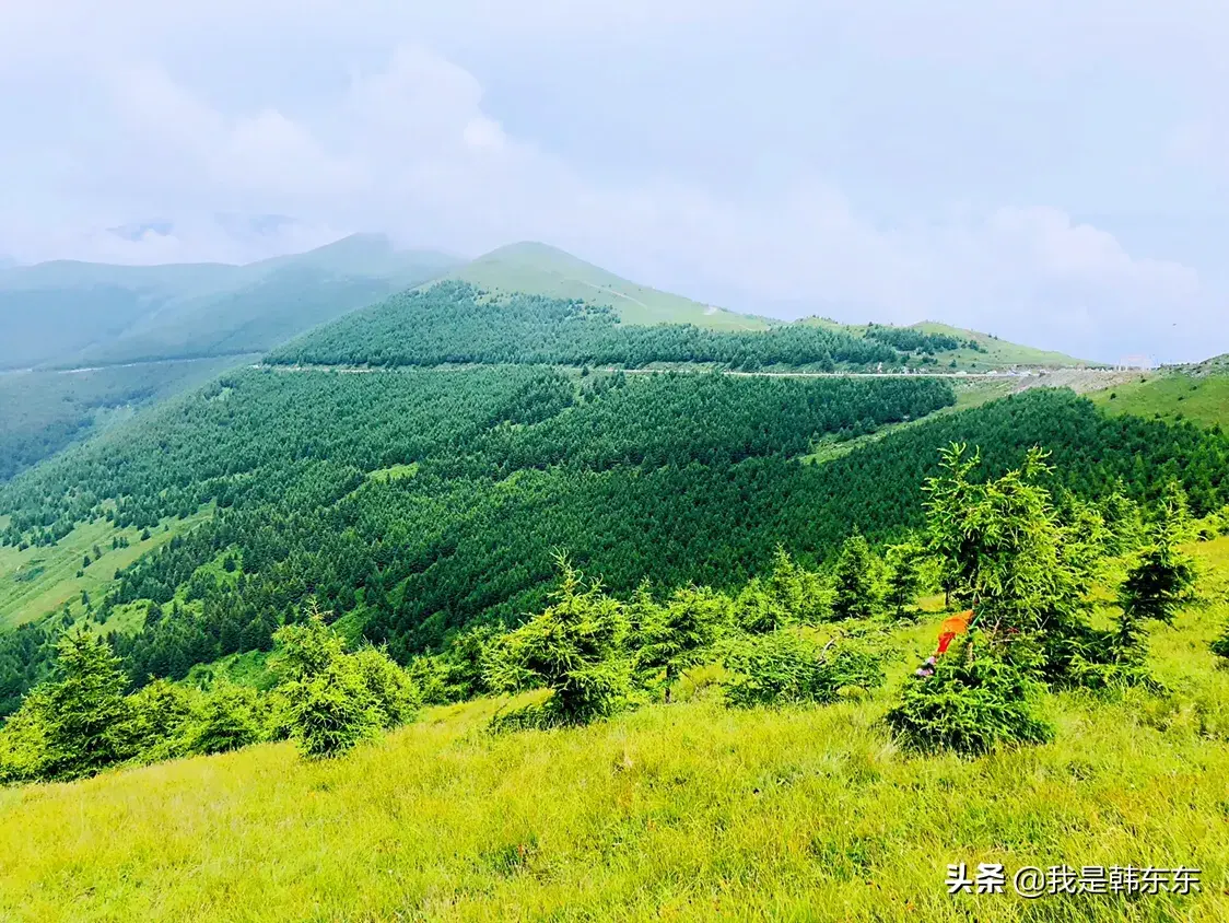 五台山旅游攻略分享（亲身感受总结的两天出游攻略！）