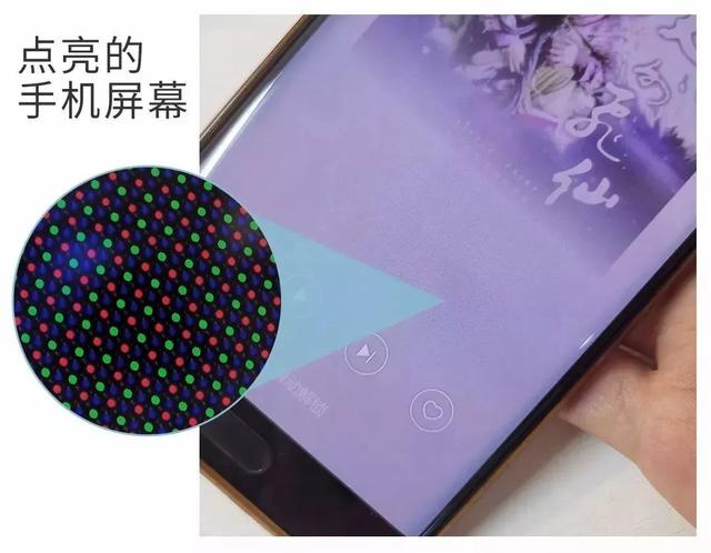 显微镜观察洋葱表皮细胞步骤，怎样使用显微镜观察洋葱表皮细胞正确步骤（放大120倍看世界）