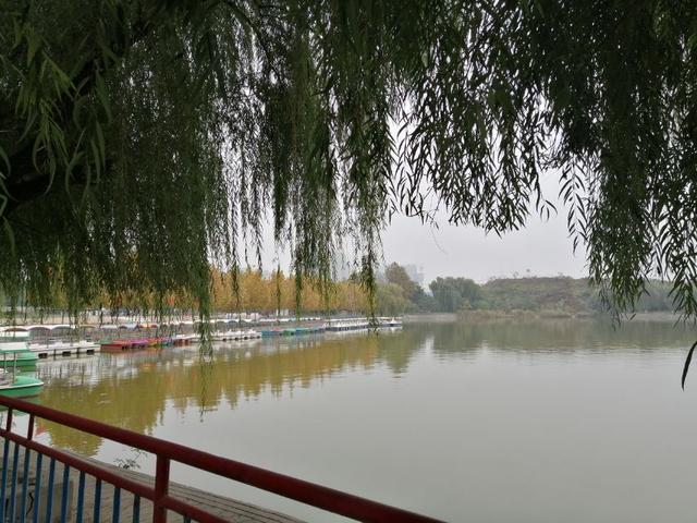 屋漏偏逢连阴雨，梦见屋漏偏逢连阴雨（《屋漏偏逢连阴雨》）