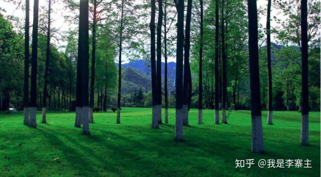 时光荏苒是什么意思啊，时光荏苒是什么意思啊下一句（别再用“光阴似箭日月如梭”）