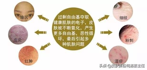 什么是抗氧化，什么是抗氧化 为什么要抗氧化（抗氧化到底是什么）