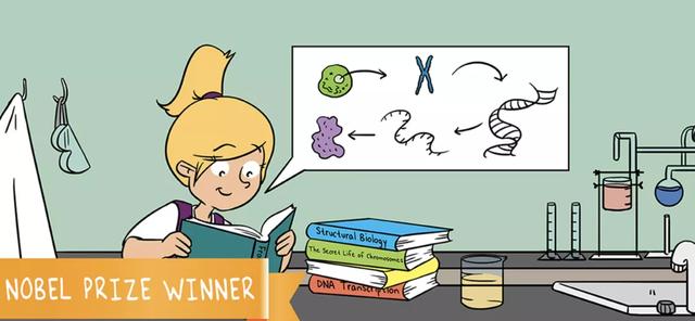 基因表达的转录过程，基因转录与表达（生命的转录：从DNA到RNA）