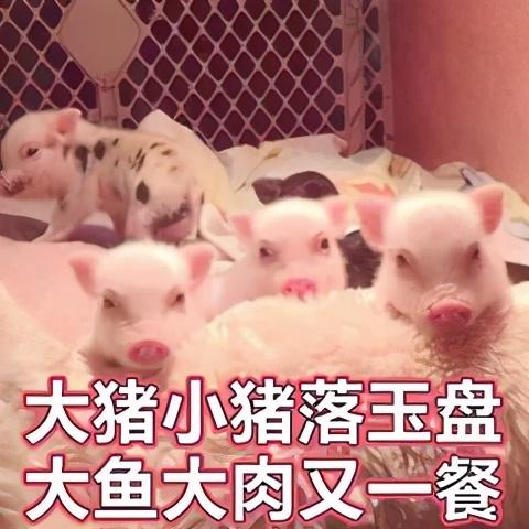 emmm什么意思，女生用emmm回复你（宝宝每天能说73遍）