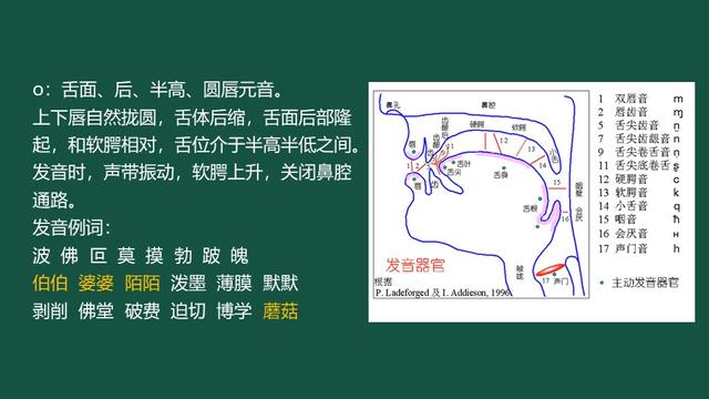 魄字读音及解释，魄组词（韵母o的发音要点和相关字词发音练习）