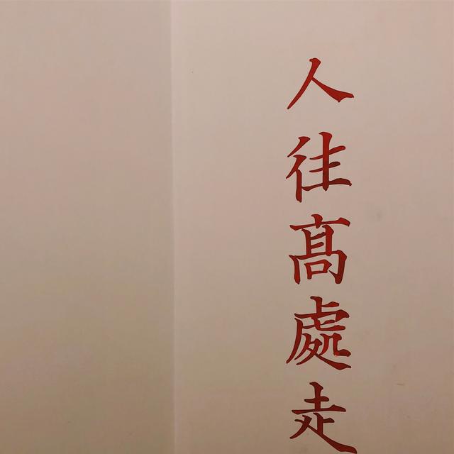 微信好看的背景图，微信朋友圈最好看背景图（个性、沙雕、励志文字控）