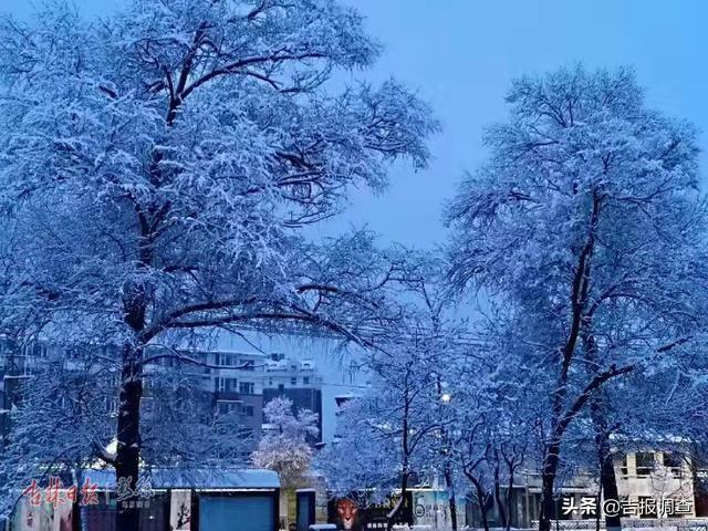 白雪却嫌春色晚，白雪却嫌春色晚下一句是什么（白雪却嫌春色晚,下一句是什么）