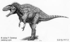 特暴龙 体态比较大属于暴龙超科远亲是霸王龙，特暴龙和霸王龙谁厉害（异特龙超科<下盘点>）