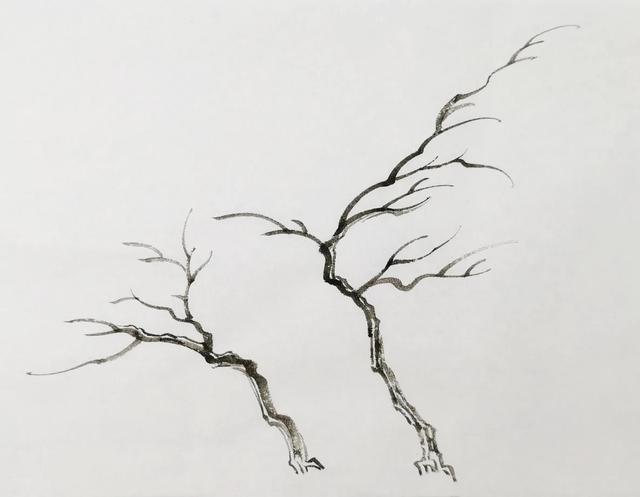 画柳树的画法，山水画中柳树的画法