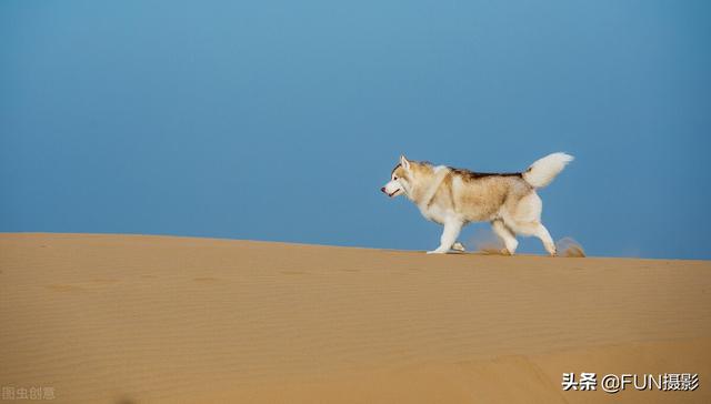 适合使用广角镜头拍摄的5个方面有哪些，广角镜头和标准镜头拍摄出来的效果（轻松拍摄具有视觉冲动力的风光照片）