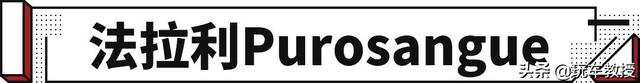 fuv是什么车，fuso是什么牌子的车（Purosangue曝光）
