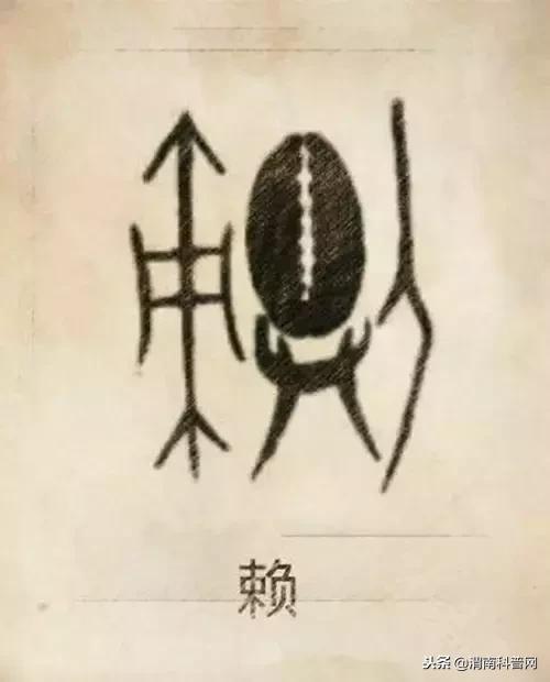 一个草字头一个吕，草字头加吕什么字（中国100大姓氏起源、图腾）