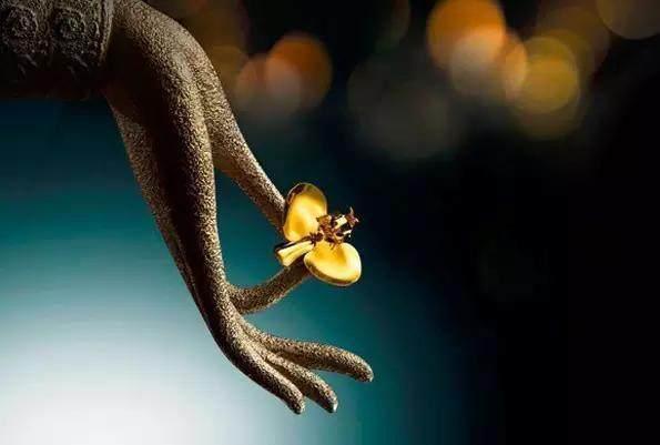 拈花微笑的典故，拈花微笑的典故读后感（禅宗典故之拈花微笑）