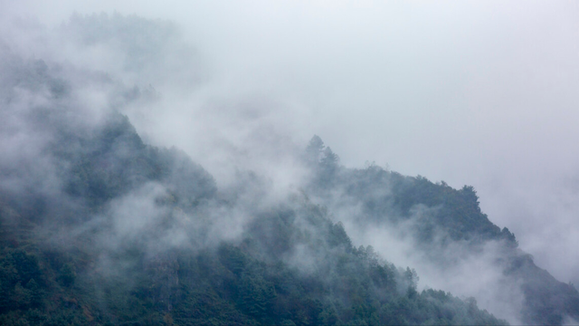 贺龙的孙子，廖国勋与廖仲恺是什么关系吗（袍哥会走出来的开国元帅）