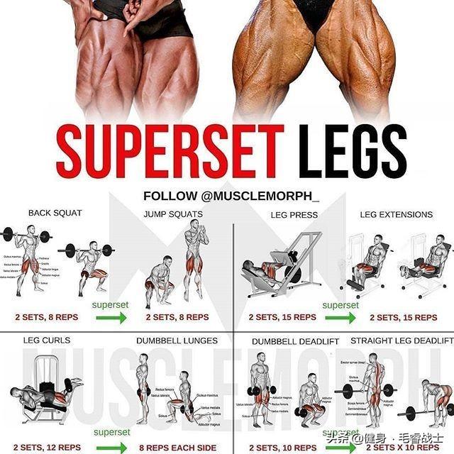 健身毛睿是什么，健身毛毛老师（全身健身训练图解！！）