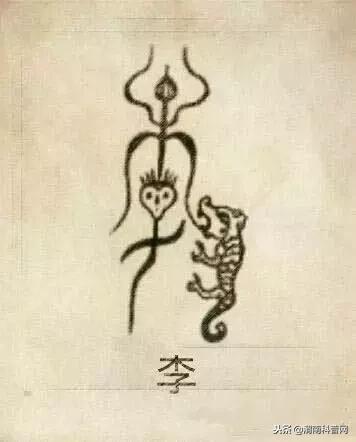 一个草字头一个吕，草字头加吕什么字（中国100大姓氏起源、图腾）