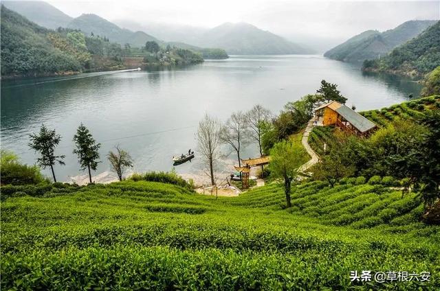 金寨灵山寺在哪，谢谢你，金寨