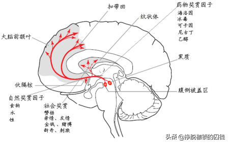 为什么要吃饭，事情并不像你想象的那么简单