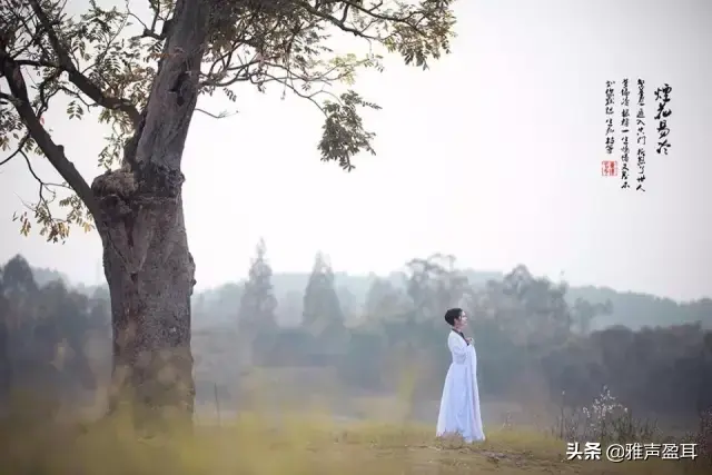 雨纷纷旧故里草木深是什么歌(斑驳的老树根什么歌)插图(6)