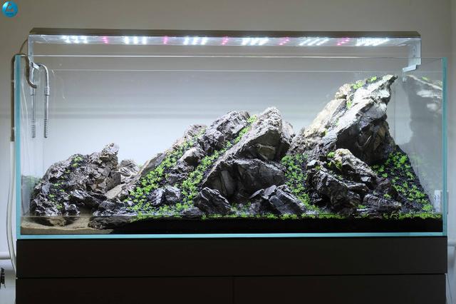 鱼缸底部铺什么好，鱼缸底部铺卵石养什么鱼（如何挑选一个合适自己的鱼缸）