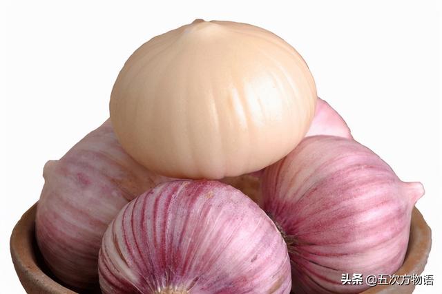 小葱和大葱的区别，小葱和大葱的区别有哪些（国内葱属蔬菜大全，你认识几个）