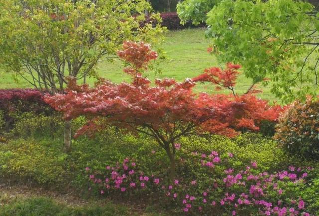 日华念什么，鏚龘龖孄飝怎么读（或曰男女交合）