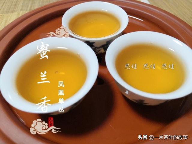 單樅茶屬於什麼茶,單樅茶屬於什麼茶怎麼讀(全方位瞭解鳳凰單叢)