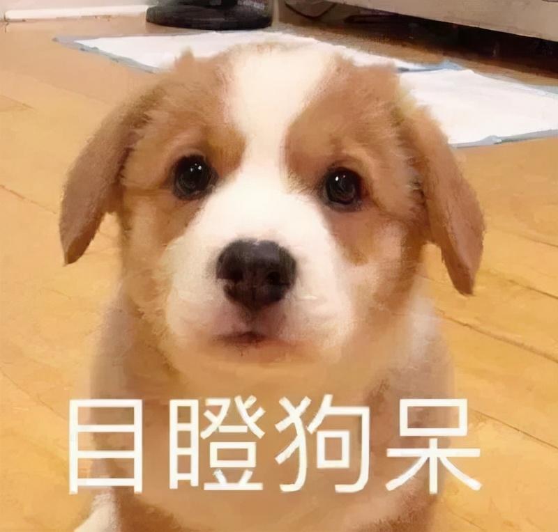 清理僵尸粉(微信检测僵尸粉小程序)