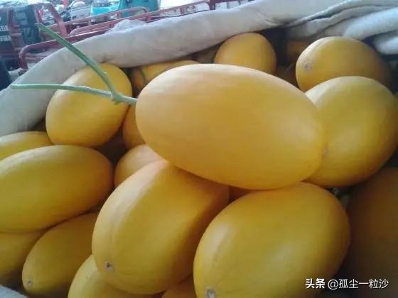 寿光市属于山东省哪个市，寿光属于哪个市（这些地方美食值得你的品尝）