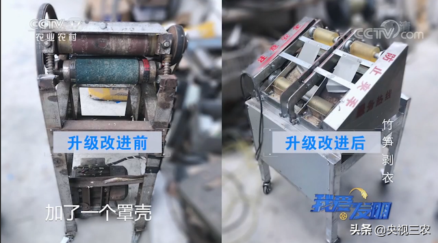 竹笋怎么剥皮，新鲜竹笋怎么剥皮详细图解（有了“王万能”发明的神器）